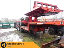 Capperi Semi 4